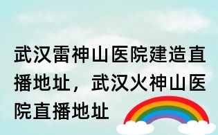 武漢雷神山醫(yī)院建造直播地址,武漢火神山醫(yī)院直播地址