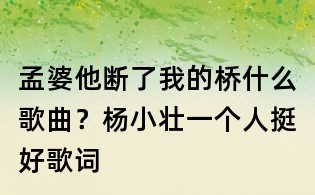 孟婆他斷了我的橋什么歌曲？楊小壯一個人挺好歌詞