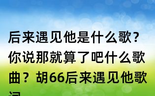 后來遇見他是什么歌？你說那就算了吧什么歌曲？胡66后來遇見他歌詞