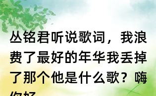 叢銘君聽說歌詞,我浪費了最好的年華我丟掉了那個他是什么歌?嗨你好嗎什么歌?
