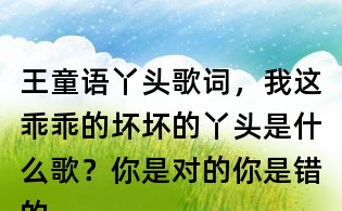 王童語丫頭歌詞，我這乖乖的壞壞的丫頭是什么歌？你是對的你是錯的 反正規矩都是你定的什么歌？