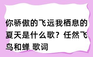 你驕傲的飛遠(yuǎn)我棲息的夏天是什么歌?任然飛鳥和蟬 歌詞
