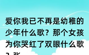 愛你我已不再是幼稚的少年什么歌？那個女孩為你哭紅了雙眼什么歌？張澤熙那個女孩歌詞