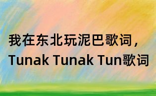 我在東北玩泥巴歌詞，Tunak Tunak Tun歌詞