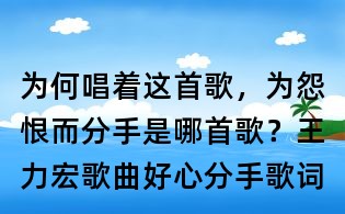 為何唱著這首歌,為怨恨而分手是哪首歌?王力宏歌曲好心分手歌詞
