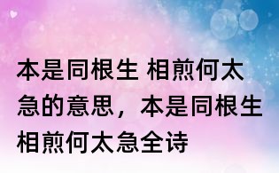 本是同根生 相煎何太急的意思,本是同根生相煎何太急全詩(shī)