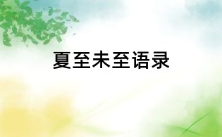 夏至未至語(yǔ)錄