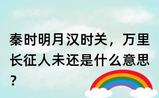 秦時(shí)明月漢時(shí)關(guān),萬(wàn)里長(zhǎng)征人未還是什么意思?