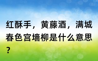 紅酥手,黃藤酒,滿城春色宮墻柳是什么意思?