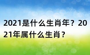 2021是什么生肖年?2021年屬什么生肖?