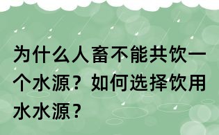 為什么人畜不能共飲一個水源?如何選擇飲用水水源?
