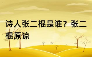詩人張二棍是誰？張二棍原諒