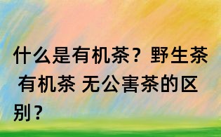 什么是有機茶？野生茶 有機茶 無公害茶的區別？