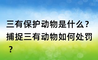 三有保護動物是什么？捕捉三有動物如何處罰 ？