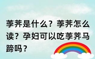 荸薺是什么？荸薺怎么讀？孕婦可以吃荸薺馬蹄嗎？