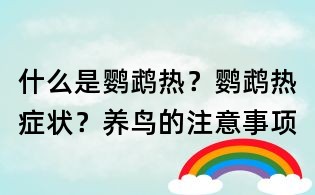 什么是鸚鵡熱?鸚鵡熱癥狀?養鳥的注意事項