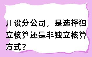 開設分公司,是選擇獨立核算還是非獨立核算方式?