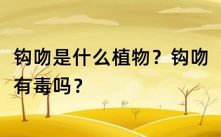鉤吻是什么植物？鉤吻有毒嗎？