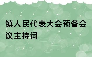 鎮(zhèn)人民代表大會預備會議主持詞
