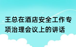 王總在酒店安全工作專項(xiàng)治理會(huì)議上的講話
