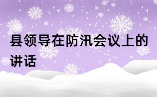 縣領(lǐng)導(dǎo)在防汛會議上的講話