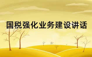 國稅強(qiáng)化業(yè)務(wù)建設(shè)講話