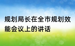 規劃局長在全市規劃效能會議上的講話