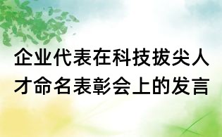 企業代表在科技拔尖人才命名表彰會上的發言