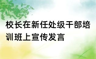 校長在新任處級干部培訓(xùn)班上宣傳發(fā)言