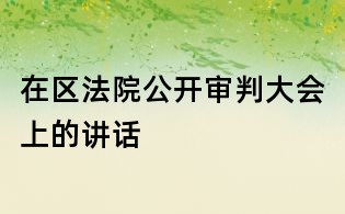 在區法院公開審判大會上的講話