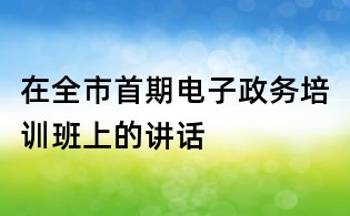 在全市首期電子政務(wù)培訓(xùn)班上的講話