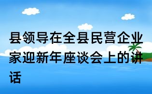 縣領導在全縣民營企業家迎新年座談會上的講話