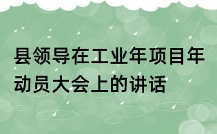 縣領(lǐng)導(dǎo)在工業(yè)年項目年動員大會上的講話