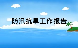 防汛抗旱工作報(bào)告