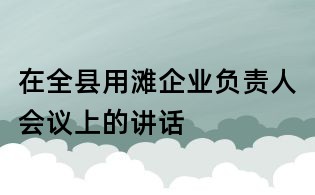 在全縣用灘企業(yè)負(fù)責(zé)人會議上的講話