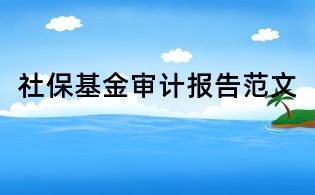 社保基金審計報告范文
