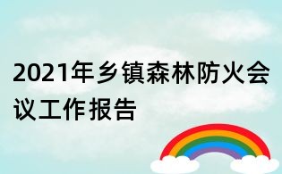 2021年鄉(xiāng)鎮(zhèn)森林防火會議工作報告