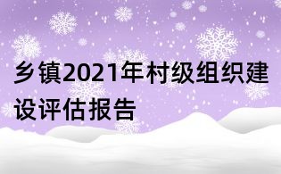 鄉(xiāng)鎮(zhèn)2021年村級組織建設評估報告
