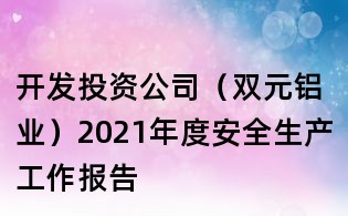 開發投資公司(雙元鋁業)2021年度安全生產工作報告