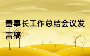 董事長工作總結(jié)會議發(fā)言稿