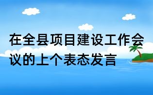 在全縣項目建設(shè)工作會議的上個表態(tài)發(fā)言