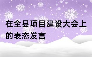 在全縣項目建設(shè)大會上的表態(tài)發(fā)言