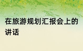 在旅游規(guī)劃匯報會上的講話