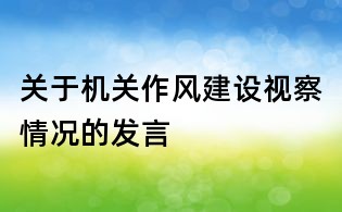 關于機關作風建設視察情況的發言