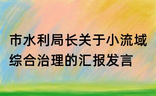 市水利局長關(guān)于小流域綜合治理的匯報發(fā)言