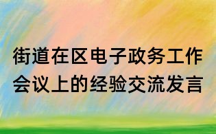 街道在區電子政務工作會議上的經驗交流發言