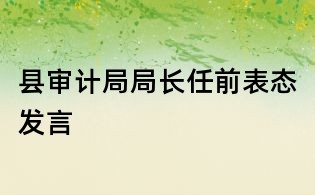 縣審計局局長任前表態(tài)發(fā)言
