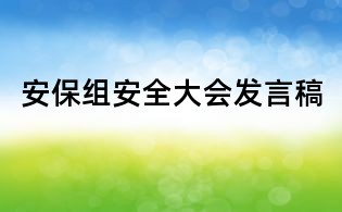 安保組安全大會發(fā)言稿