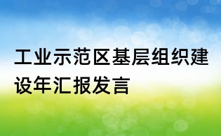 工業(yè)示范區(qū)基層組織建設(shè)年匯報(bào)發(fā)言