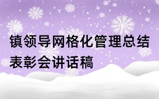 鎮(zhèn)領(lǐng)導(dǎo)網(wǎng)格化管理總結(jié)表彰會(huì)講話稿